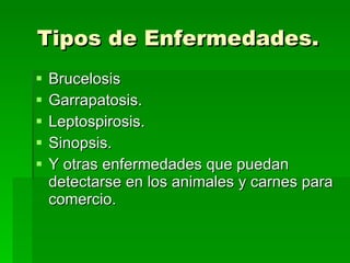 Tipos de Enfermedades. Brucelosis  Garrapatosis. Leptospirosis. Sinopsis. Y otras enfermedades que puedan detectarse en los animales y carnes para comercio. 