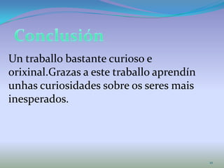 10
Un traballo bastante curioso e
orixinal.Grazas a este traballo aprendín
unhas curiosidades sobre os seres mais
inesperados.
 
