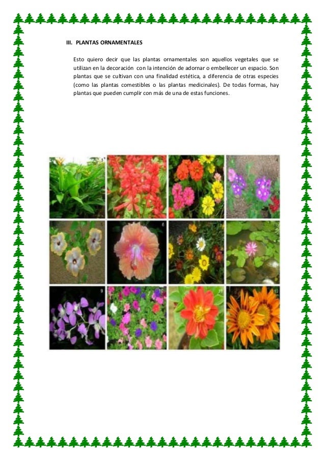 UTILIDAD DE LAS PLANTAS
