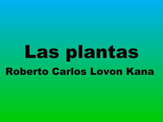 Las plantas
Roberto Carlos Lovon Kana
 