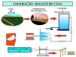 COMBUSTÍVEL BAGAÇO DE CANA ENERGIA ELÉTRICA kWh CANA DE AÇÚCAR COGERAÇÃO - BAGAÇO DE CANA CALDEIRA  A BAGAÇO DE CANA REDE SE  ELEVATÓRIA GERADOR TURBINA 