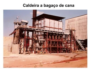 Caldeira a bagaço de cana 