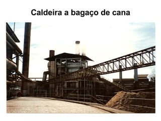 Caldeira a bagaço de cana 