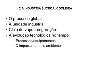 2.A INDÚSTRIA SUCROALCOOLEIRA O processo global A unidade industrial Ciclo de vapor: cogeração A evolução tecnológica no tempo: -  Processos/equipamentos - O impacto no meio ambiente 