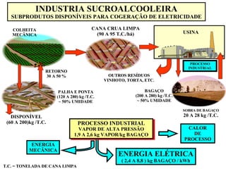 PROCESSO INDUSTRIAL USINA CANA CRUA LIMPA (90 A 95 T.C./há) OUTROS RESÍDUOS VINHOTO, TORTA, ETC . SOBRA DE  BAGAÇO 20 A 28 kg /T.C. ENERGIA MECÃNICA CALOR DE PROCESSO PROCESSO INDUSTRIAL VAPOR DE ALTA PRESSÃO 1,9 A 2,6 kg VAPOR/kg BAGAÇO T.C. = TONELADA DE CANA LIMPA ENERGIA ELÉTRICA ( 2,4 A 8,8 ) kg BAGAÇO / kWh RETORNO 30 A 50 % DISPONÍVEL (60 A 200)kg /T.C. COLHEITA MECÂNICA INDUSTRIA SUCROALCOOLEIRA SUBPRODUTOS DISPONÍVEIS PARA COGERAÇÃO DE ELETRICIDADE BAGAÇO (200 A 280) kg /T.C. ~ 50% UMIDADE PALHA E PONTA (120 A 280) kg /T.C. ~ 50% UMIDADE 