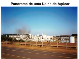 Panorama de uma Usina de Açúcar 