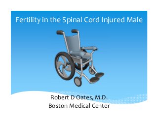 Fertility in the Spinal Cord Injured Male
Robert D Oates, M.D.
Boston Medical Center
 