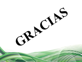 Roberto Caizaluisa_Actividades y Proyectos