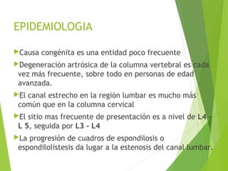 EPIDEMIOLOGIA
Causa congénita es una entidad poco frecuente
Degeneración artrósica de la columna vertebral es cada
vez más frecuente, sobre todo en personas de edad
avanzada.
El canal estrecho en la región lumbar es mucho más
común que en la columna cervical
El sitio mas frecuente de presentación es a nivel de L4 -
L 5, seguida por L3 - L4
La progresión de cuadros de espondilosis o
espondilolistesis da lugar a la estenosis del canal lumbar.
 
