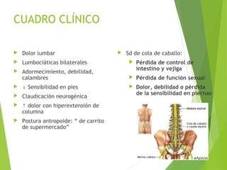 CUADRO CLÍNICO
 Dolor lumbar
 Lumbociáticas bilaterales
 Adormecimiento, debilidad,
calambres
 ↓ Sensibilidad en pies
 Claudicación neurogénica
 ↑ dolor con hiperextensión de
columna
 Postura antropoide: “ de carrito
de supermercado”
 Sd de cola de caballo:
 Pérdida de control de
intestino y vejiga
 Pérdida de función sexual
 Dolor, debilidad o pérdida
de la sensibilidad en piernas
 