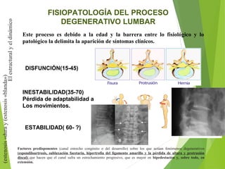 FISIOPATOLOGÍA DEL PROCESO
DEGENERATIVO LUMBAR
Factores predisponentes (canal estrecho congénito o del desarrollo) sobre los que actúan fenómenos degenerativos
(espondiloartrosis, subluxación facetaria, hipertrofia del ligamento amarillo y la pérdida de altura y protrusión
discal) que hacen que el canal sufra un estrechamiento progresivo, que es mayor en bipedestación y, sobre todo, en
extensión.
Este proceso es debido a la edad y la barrera entre lo fisiológico y lo
patológico la delimita la aparición de síntomas clínicos.
DISFUNCIÓN(15-45)
INESTABILIDAD(35-70)
Pérdida de adaptabilidad a
Los movimientos.
ESTABILIDAD( 60- ?)
Elestructuralyeldinámico
(estenosis«duray(estenosis«blanda»)
 