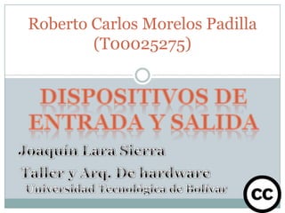 Roberto Carlos Morelos Padilla
        (T00025275)
 