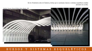 H U E S O S Y S I S T E M A S E S Q U E L É T I C O S
En los 10 primeros años de Calatrava, formas que se asemejan a huesos y sistemas esqueléticos estaban
presentes en su obra.
Pabellón Concreto, Feria del Edificio Suiza, Basilea, 1989.
 