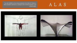 A L A S
Las alas también son un tema recurrente en la obra de Calatrava.
Estos ejemplos muestran su analogía entre la forma humana y una
criatura alada.
 