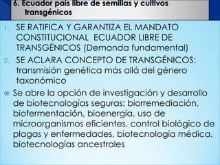 1.  SE RATIFICA Y GARANTIZA EL MANDATO
    CONSTITUCIONAL ECUADOR LIBRE DE
    TRANSGÉNICOS (Demanda fundamental)
2. SE ACLARA CONCEPTO DE TRANSGÉNICOS:
    transmisión genética más allá del género
    taxonómico
 Se abre la opción de investigación y desarrollo
   de biotecnologías seguras: biorremediación,
   biofermentación, bioenergía, uso de
   microorganismos eficientes, control biológico de
   plagas y enfermedades, biotecnología médica,
   biotecnologías ancestrales
 