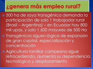  500  ha de soya transgénica demanda la
  participación de solo 1 trabajador rural
  (Brasil – Argentina) – en Ecuador hay 800
  mil upas, y solo 1 600 mayores de 500 Ha
 Transgénicos siguen lógica de expansión
  de gran capital, especialización y
  concentración
 Agricultura familiar campesina sigue
  retrocediendo, aumenta su dependencia
  tecnológica y desplazamiento
 