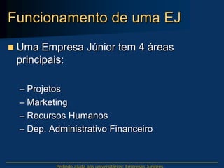 Empresas_junior_instituto_endeavor_Roberto Jose