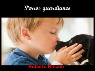 Perros guardianesPerros guardianes
Roberto Rincon
 