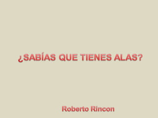 Roberto rincon