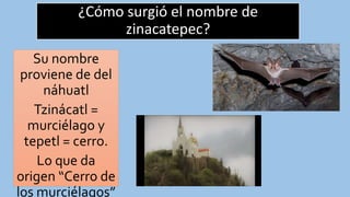 ¿Cómo surgió el nombre de
zinacatepec?
Su nombre
proviene de del
náhuatl
Tzinácatl =
murciélago y
tepetl = cerro.
Lo que da
origen “Cerro de
los murciélagos”
 