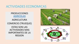 ACTIVIDADES ECONOMICAS
PRODUCCIONES
AGRICOLAS
AGRICULTURA
COMERCIO (TRUEQUE)
ESTAS SON LAS
ACTIVIDADES MAS
IMPORTANTES DE LA
REGION
 