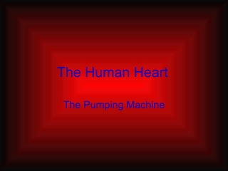 The Human Heart The Pumping Machine 