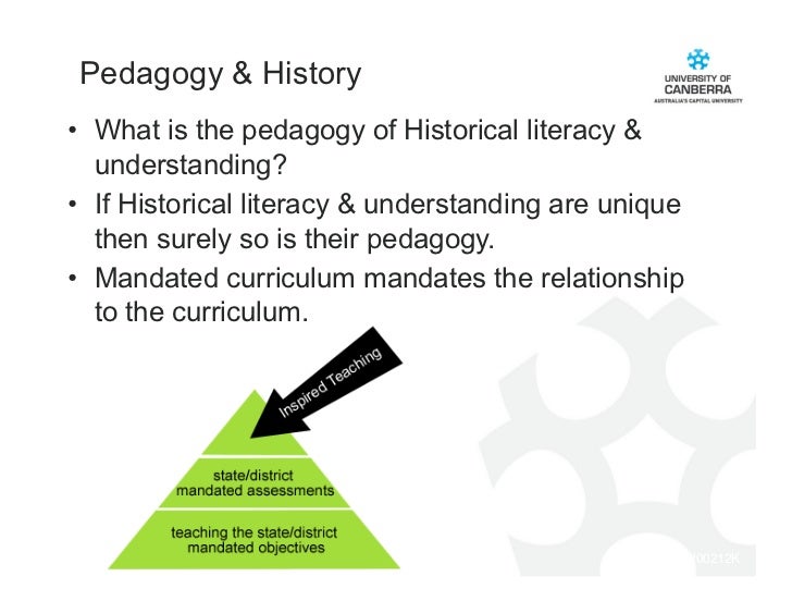 Roberts historical literacy pedagogy