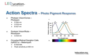  Photopic Vision/Cones –
Photopsin
 R 564 nm
 G 533 nm
 B 437 nm
 Scotopic Vision/Rods –
Rhodopsin
 G 533 nm
 Circadian/Retinal Ganglion Cells
(ipRGC’s) – Melanopsin
 B 459-484.
 Peak sensitivity at 484 nm
 