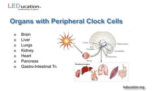  Brain
 Liver
 Lungs
 Kidney
 Heart
 Pancreas
 Gastro-Intestinal Tract
 