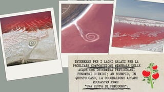 INTERESSE PER I LAGHI SALATI PER LA
PECULIARE COMPOSIZIONE MINERALE DELLE
ACQUE CHE DETERMINA PARTICOLARI
FENOMENI CHIMICI; AD ESEMPIO, IN
QUESTO CASO, LA COLORAZIONE APPARE
ROSSASTRA COME
“UNA ZUPPA DI POMODORO”.
 