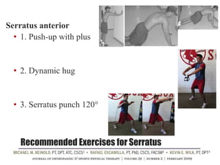 Recommended Exercises for Serratus
Serratus anterior
• 1. Push-up with plus
• 2. Dynamic hug
• 3. Serratus punch 120°
 