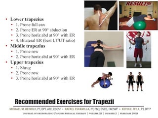 Recommended Exercises for Trapezii
• Lower trapezius
• 1. Prone full can
• 2. Prone ER at 90° abduction
• 3. Prone horiz abd at 90° with ER
• 4. Bilateral ER (best LT/UT ratio)
• Middle trapezius
• 1. Prone row
• 2. Prone horiz abd at 90° with ER
• Upper trapezius
• 1. Shrug
• 2. Prone row
• 3. Prone horiz abd at 90° with ER
 