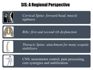 SIS: A Regional Perspective
Cervical Spine: forward head, muscle
tightness
Ribs: first and second rib dysfunction
Thoracic Spine: attachment for many scapula
stabilizers
CNS: neuromotor control, pain processing,
core synergies and stabilization
 