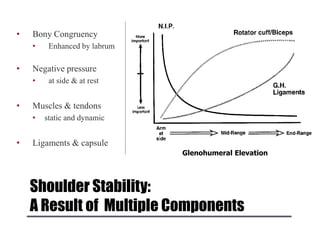 Shoulder Stability:
A Result of Multiple Components
• Bony Congruency
• Enhanced by labrum
• Negative pressure
• at side & at rest
• Muscles & tendons
• static and dynamic
• Ligaments & capsule
Glenohumeral Elevation
 