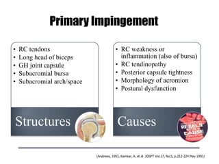 Primary Impingement
• RC tendons
• Long head of biceps
• GH joint capsule
• Subacromial bursa
• Subacromial arch/space
Structures
• RC weakness or
inflammation (also of bursa)
• RC tendinopathy
• Posterior capsule tightness
• Morphology of acromion
• Postural dysfunction
Causes
(Andrews, 1993, Kamkar, A. et al. JOSPT Vol.17, No.5, p.212-224 May 1993)
 