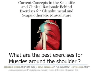 What are the best exercises for
Muscles around the shoulder ?
 