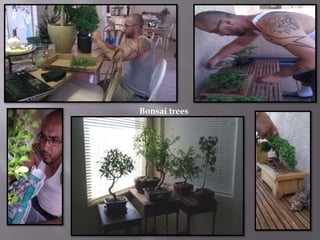 Bonsai trees
 