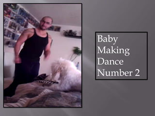 Baby
Making
Dance
Number 2
 