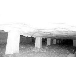 Robert Swindells: Kivikovat kadut