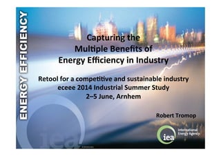 ©	
  OECD/IEA	
  2014	
  
Capturing	
  the	
  	
  
Mul/ple	
  Beneﬁts	
  of	
  	
  
Energy	
  Eﬃciency	
  in	
  Industry	
  
	
  
Retool	
  for	
  a	
  compe//ve	
  and	
  sustainable	
  industry	
  	
  
eceee	
  2014	
  Industrial	
  Summer	
  Study	
  
2–5	
  June,	
  Arnhem	
  	
  
	
  
Robert	
  Tromop	
  
 