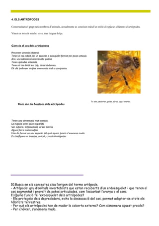 Com és el cos dels artròpodes
4. ELS ARTRÒPODES
Presenten simetría bilateral.
Tenen el cos cobert per un esquelet o exosquelet format per peces articula-
des i una sobstància anomenada quitina.
Tenen apèndixs articulats.
Tenen el cos dividit en: cap, tòraxi abdomen.
Els ulls podenser simples anomenats ocels o compostos.
Com són les funcions dels artròpodes
Tenen una alimentació molt variada.
La majoria tenen sexes separats.
Són ovípars i la fecundació sol ser interna.
Alguns fan la metamorfosi.
Han de formar un nou esquelet del qual aquest procés s’anomena muda.
Es clasifiquen en: insectes, aràcids, crustàcisimiràpodes.
Té ales, abdomen, potes, tòrax, cap i antenes.
10.Busca en els conceptes clau l’origen del terme artòpode.
- Artòpode: gru d’animals invertebrats que estan recoberts d’un endoesquelet i que tenen el
cos segmentat i proveït de potes articulades, com l’escarbat l’aranya o el canc.
11.Quina funció té l’exoesquelet dels artròpodes?
- Els protegeix dels depredadors, evita la dessacació del cos, permet adaptar-se atots els
hàbitats terrestres.
- Per què els artròpodes han de mudar la coberta externa? Com s’anomena aquest procés?
- Per créixer, s’anomena muda.
Construeixen el grup més nombros d’animals, actualmente es coneixen mésd’un milió d’espècies diferents d’artròpodes.
Viuen en tots els medis: terra, mar i aigua dolça.
 