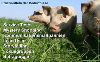 Erschnüffeln der Bedürfnisse




Service Tests




                                                http://www.ign-nutztierhaltung.ch/Schweinehaltung/verhalten/verhalten.php
Mystery Shopping
Kommunikationsmaßnahmen
Lead User
Storytelling
Fokusgruppen
Befragungen
                               Copyright youspi 2012
 