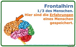 Frontalhirn
        1/3 des Menschen.
 Hier sind die Erfahrungen
           eines Menschen
               gespeichert.




http://uepo.de/2011/10/05/neurolinguistik-verschiedene-hirnareale-fur-syntax-und-semantik/print/ 12.12.2011
                                                                                            Copyright youspi 2012
 