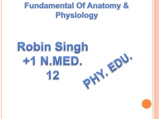 ppt on Fundamentals of Anatomy & Physiology Class 11