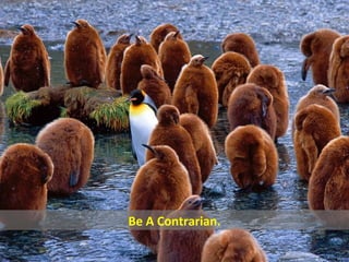Be A Contrarian.
 