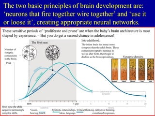 The two basic principles of brain development are:
‘neurons that fire together wire together’ and ‘use it
or loose it’, creating appropriate neural networks.
These sensitive periods of ‘proliferate and prune’ are when the baby’s brain architecture is most
shaped by experience. – But you do get a second chance in adolescence!
Number of
synaptic
connections
in the brain.
The infant brain has many more
synapses than the adult brain. These
connections rapidly increase in
waves after birth, then begin to
decline as the brain specializes.
Into adulthood.
The first year.
Vision,
hearing, touch.
Symbols, relationships,
ideas, language.
Critical thinking, reflective thinking,
considered responses.
Peak
Synaptic density.
Over time the child
acquires increasingly
complex skills.
 