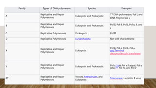 Family Types of DNA polymerase Species Examples
A
Replicative and Repair
Polymerases
Eukaryotic and Prokaryotic
T7 DNA polymerase, Pol I, and
DNA Polymerase γ
B
Replicative and Repair
Polymerases
Eukaryotic and Prokaryotic Pol II, Pol B, Pol ζ, Pol α, δ, and
ε
C Replicative Polymerases Prokaryotic Pol III
D Replicative Polymerases Euryarchaeota Not well-characterized
X
Replicative and Repair
Polymerases
Eukaryotic
Pol β, Pol σ, Pol λ, Pol μ,
and Terminal
deoxynucleotidyl transferase
Y
Replicative and Repair
Polymerases
Eukaryotic and Prokaryotic Pol ι
[
(
1
i
5
o
]
ta),Pol κ (kappa), Pol η
(eta), Pol IV, and Pol V
RT
Replicative and Repair
Polymerases
Viruses, Retroviruses, and
Eukaryotic
Telomerase, Hepatitis B virus
 