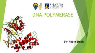 DNA POLYMERASE
By- Robin Singh
 