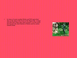 In times of warm weather Robin and Will spent their days in the deep of the Forest at the Major Oak. A large tree that had a large open space around it. In later times this became the main hideout of Robin and his outlaw (bandit) band.                                                   