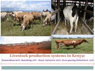 Impacts of climate change on livestock sector and Kenya’s preparedness on the challenges 